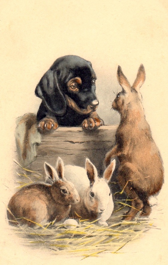 bumble button Darling Victorian Rabbits and Bunnies From Children's